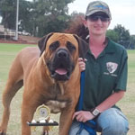 SA Superior Boerboels National Boerboel Show